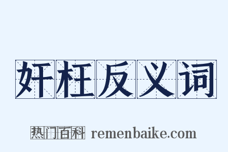 奸枉反义词是什么意思的图片